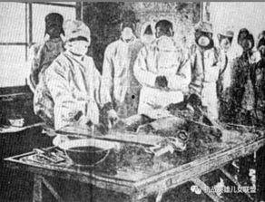 爆料日军实验室视频大全,惊悚视频大全背后的真相与秘密 第3张 爆料日军实验室视频大全,惊悚视频大全背后的真相与秘密 第3张