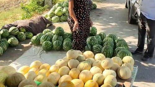 免费吃瓜摊,街头美食盛宴，畅享夏日清凉  第3张