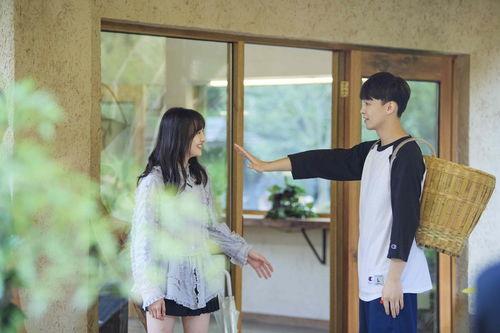 郑爽张恒最新八卦爆料,最新八卦揭秘幕后真相