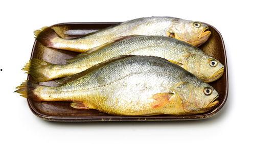 小黄鱼爆料新闻视频播放,揭秘新闻视频背后的真相  第2张