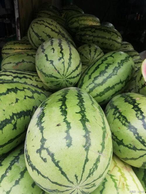 上海网红吃瓜事件,揭秘网络舆论的风暴与真相 第3张 上海网红吃瓜事件,揭秘网络舆论的风暴与真相 第3张