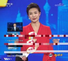 爆料新闻主播有哪些人物,知名新闻主播背后的爆料风云  第3张