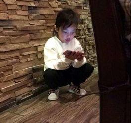 贾乃亮爆料包饺子视频大全,温馨家庭生活引网友热议