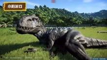 恐龙视频爆料网站在线观看,独家视频爆料网站带你在线领略史前巨兽风采  第3张