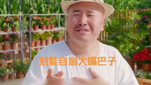 乡村爱情8全集在线观看,重温乡村温馨故事,笑中带泪的年度巨献 第3张 乡村爱情8全集在线观看,重温乡村温馨故事,笑中带泪的年度巨献 第3张