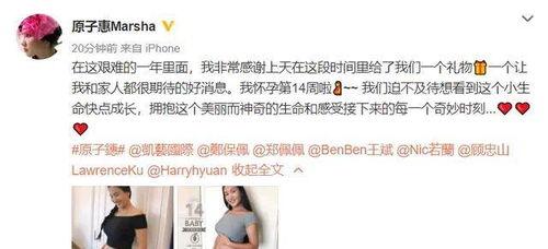 圈内爆料八卦小猪,娱乐圈八卦大揭秘  第1张