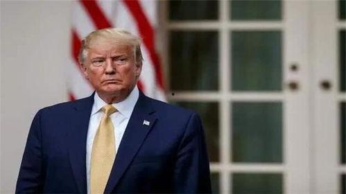 特朗普最新家族爆料图鉴,揭秘权力背后的家族秘密 第1张 特朗普最新家族爆料图鉴,揭秘权力背后的家族秘密 第1张