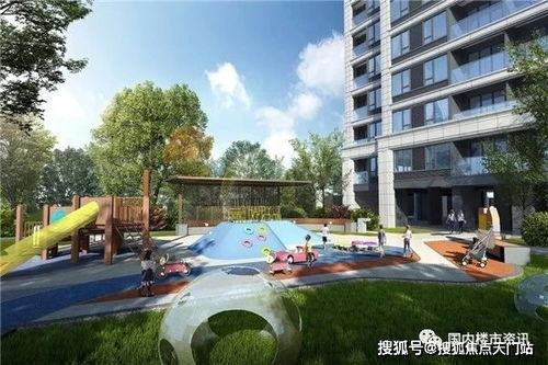 郑州蓝城最新事件爆料视频,揭秘爆料视频背后的真相  第3张