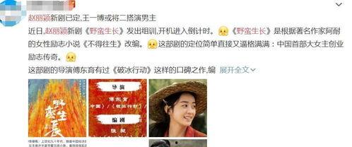 野蛮生长最新爆料,揭秘行业巨头背后的秘密与挑战 第3张 野蛮生长最新爆料,揭秘行业巨头背后的秘密与挑战 第3张