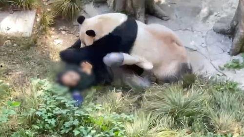 重庆动物园爆料视频最新  第2张